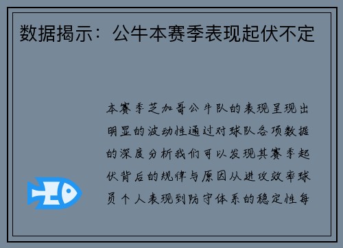数据揭示：公牛本赛季表现起伏不定